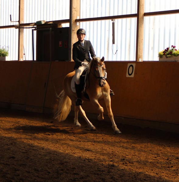 Dressur_Mona