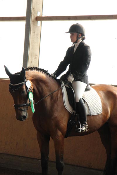 Dressur_Vanessa_Langspecht