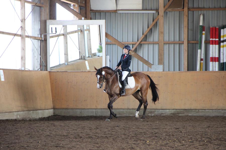 Dressur_Vanessa_Schober_1